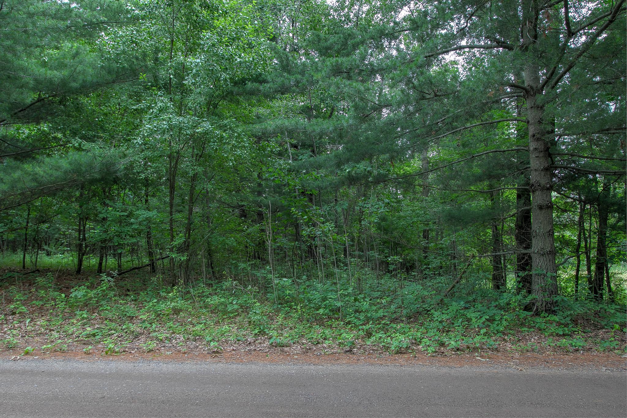 37306 Fjeldheim Road Northeast Stanchfield, MN 55080 - Photo 40 of 46