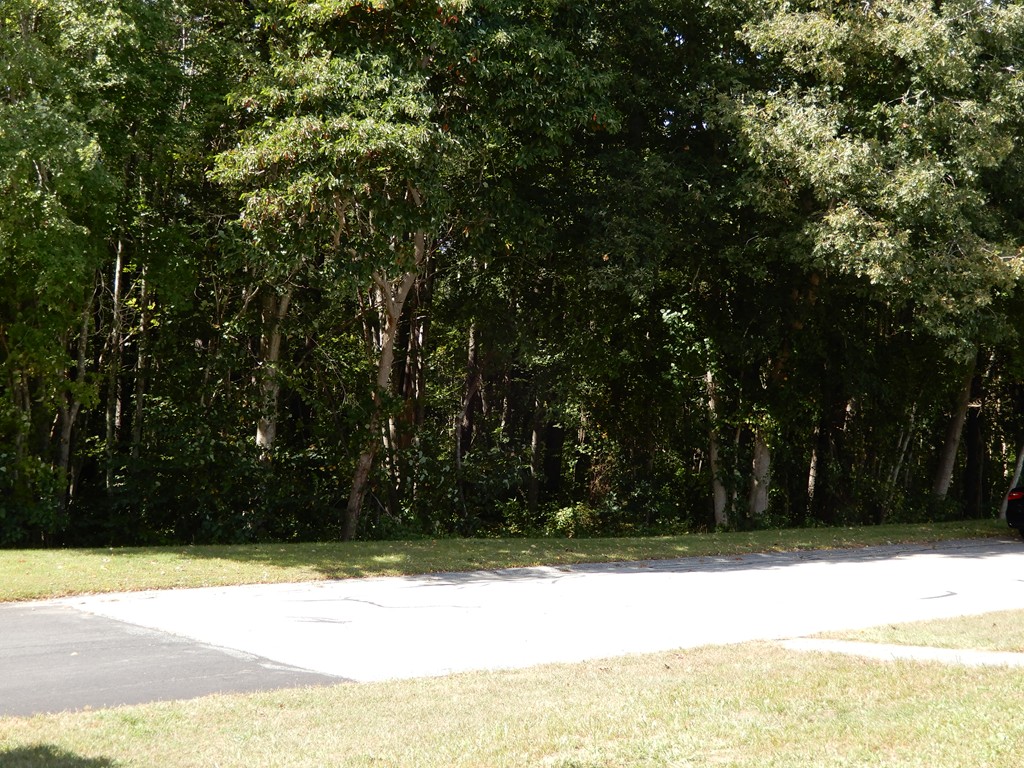 15 Musket Road Taunton, MA 02780 - Photo 30 of 30 Gallery Image 30