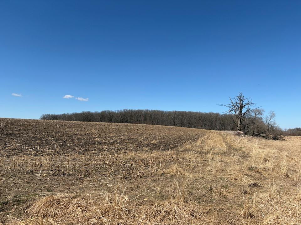 16361 470th Street Verndale, MN 56481 - Photo 12 of 15