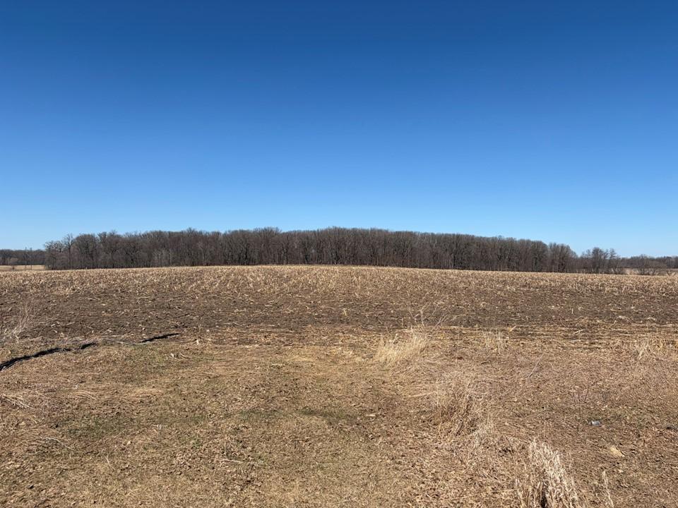 16361 470th Street Verndale, MN 56481 - Photo 6 of 15