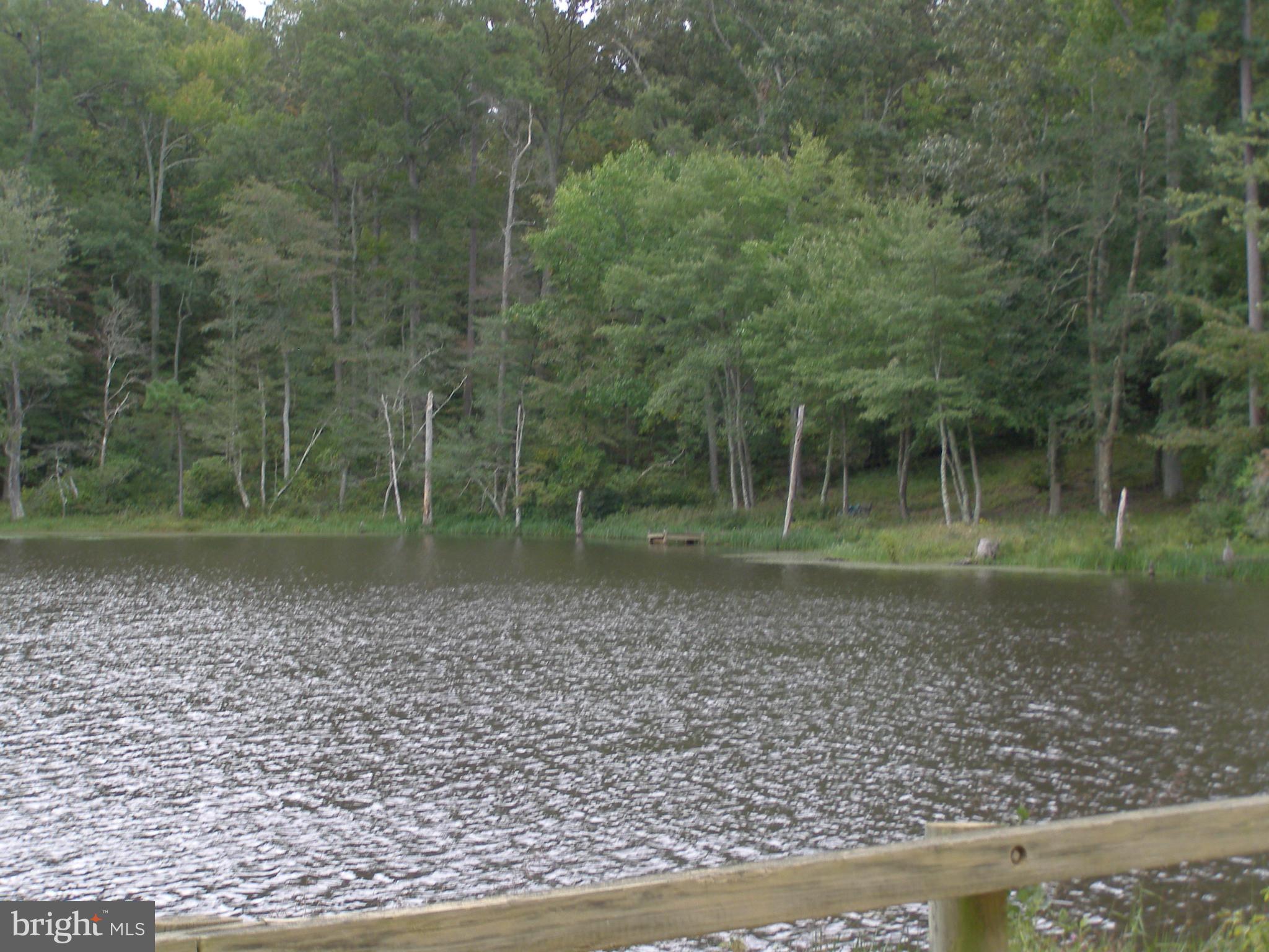 19853 Tower Hill Road Leonardtown, MD 20650 - Photo 29 of 29 View