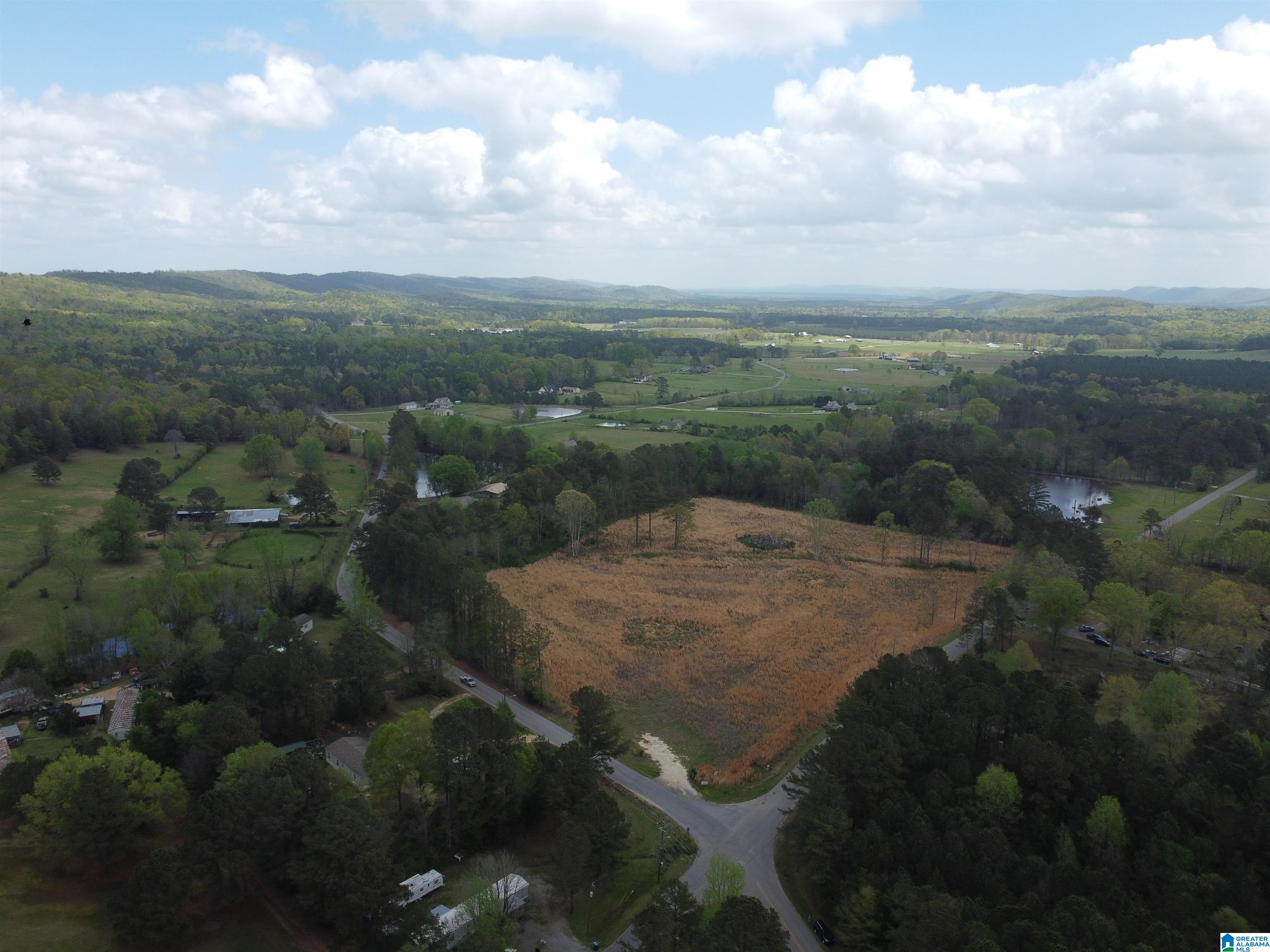 0 Greensport Road Ashville, AL 35953 - Photo 28 of 43
