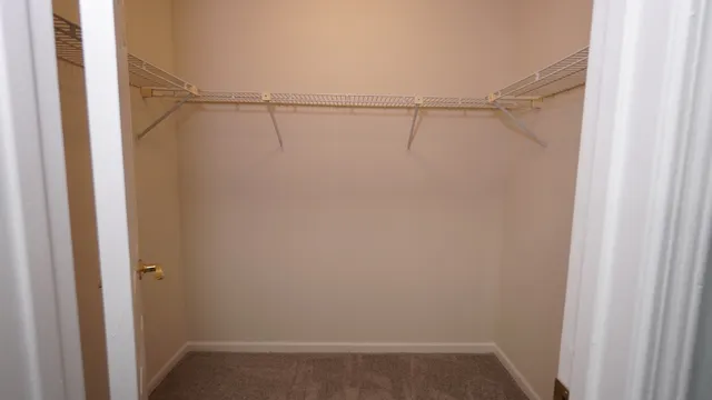 a view of an empty walk in closet