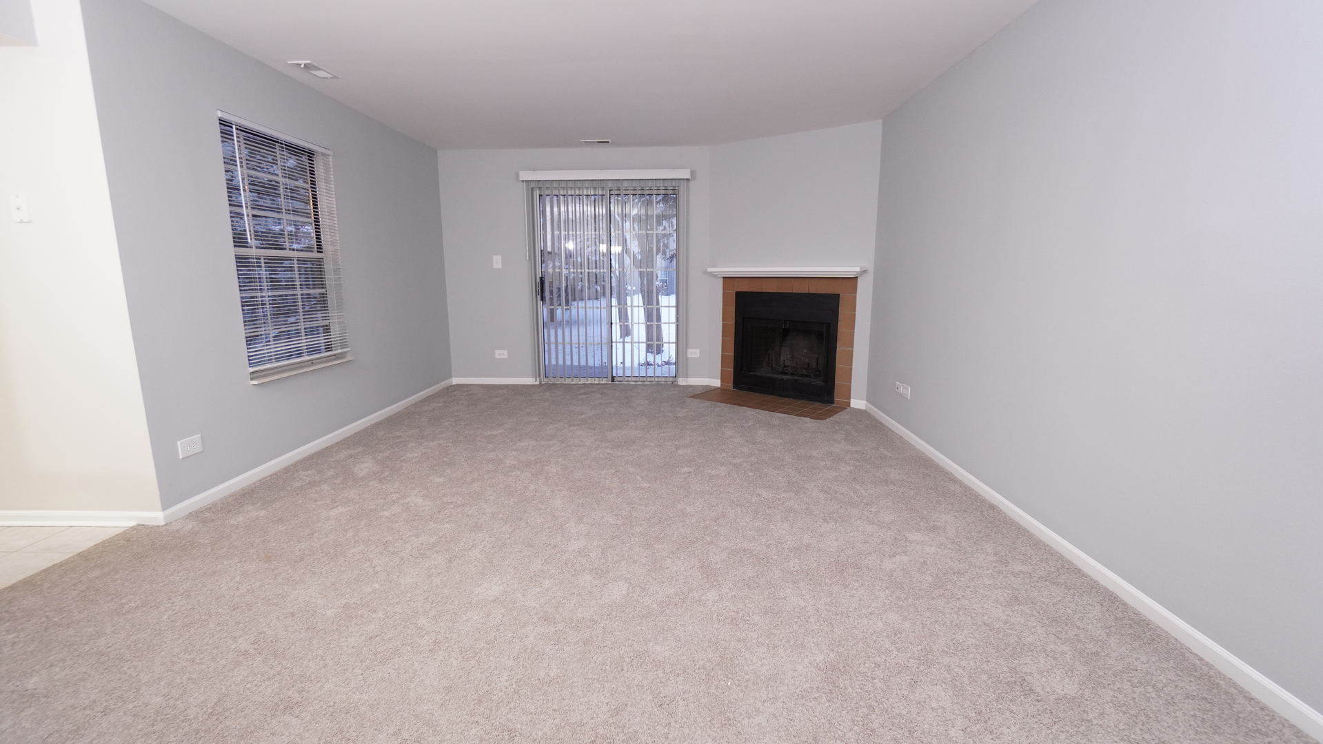 123 West Willowbrook Court, Unit 3 Schaumburg, IL 60195 - Photo 4 of 25 a view of empty room with a fireplace