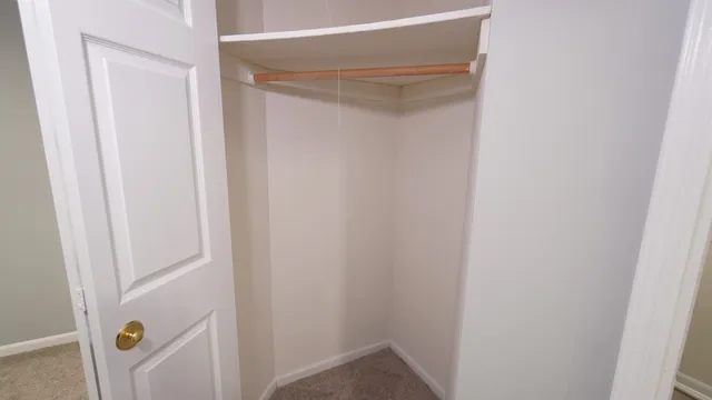 a view of closet