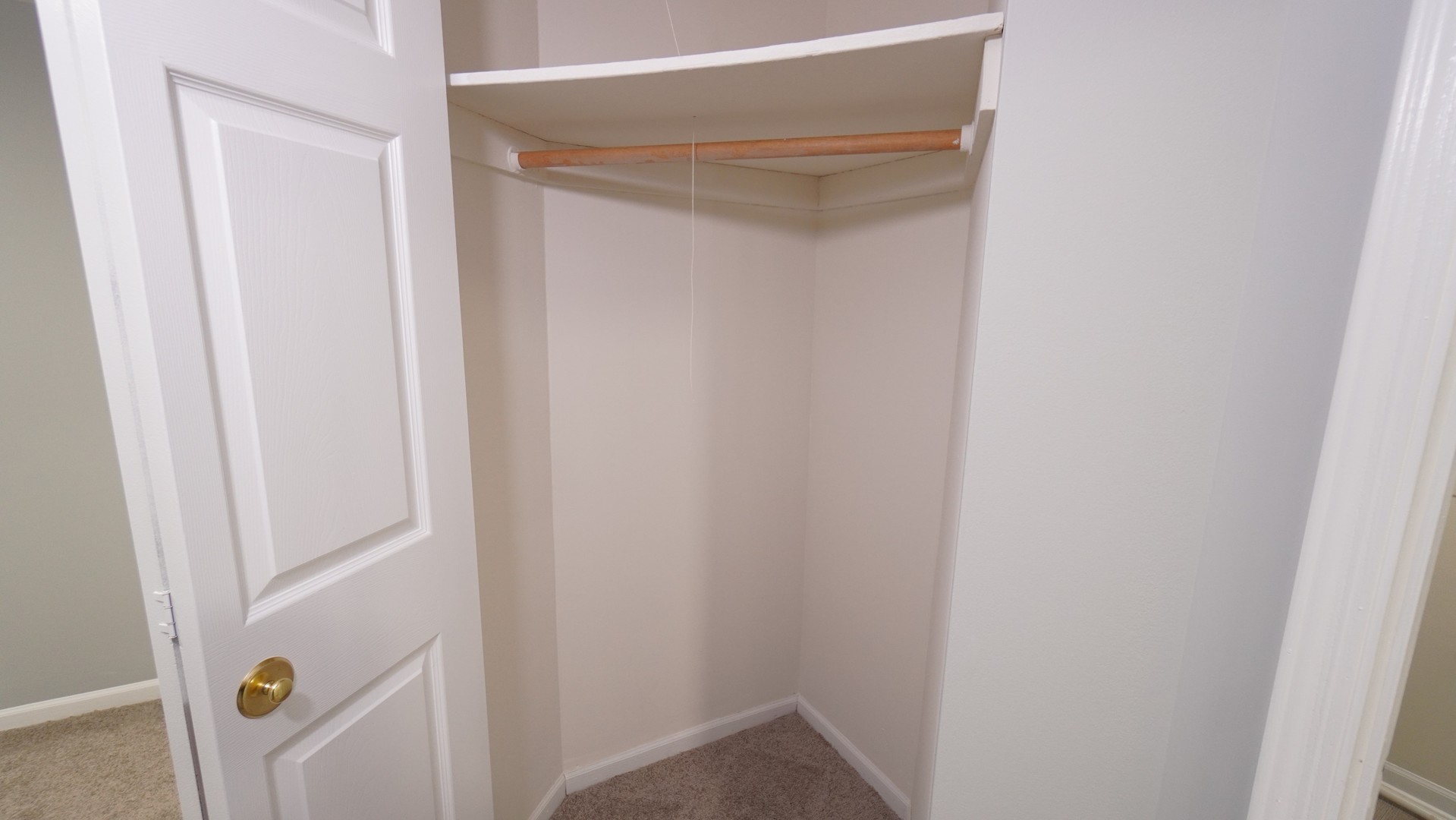 123 West Willowbrook Court, Unit 3 Schaumburg, IL 60195 - Photo 10 of 25 a view of closet