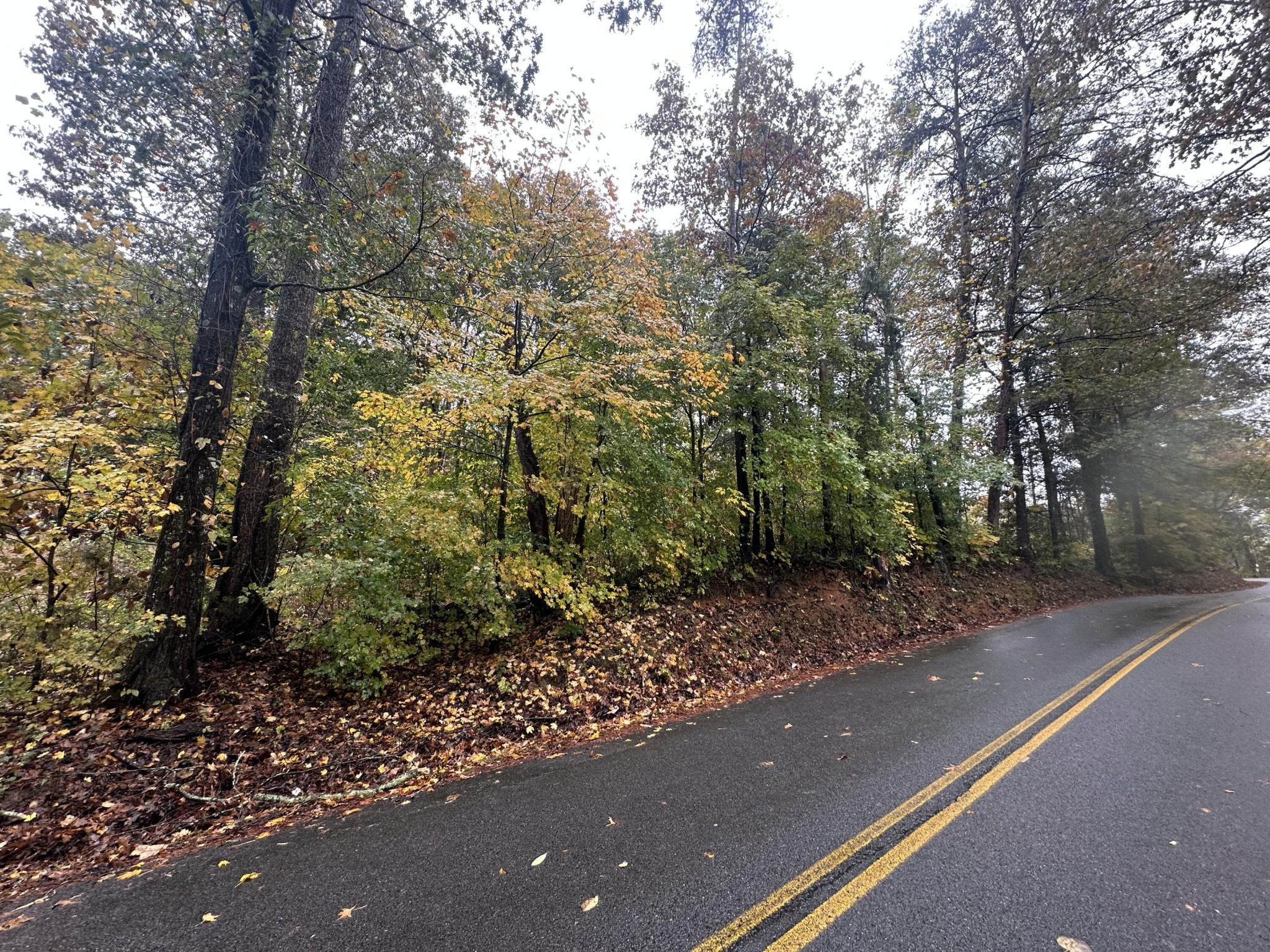 6 Candies Creek Ridge Road Northwest Cleveland, TN 37312 - Photo 1 of 1 a view of a street with a trees