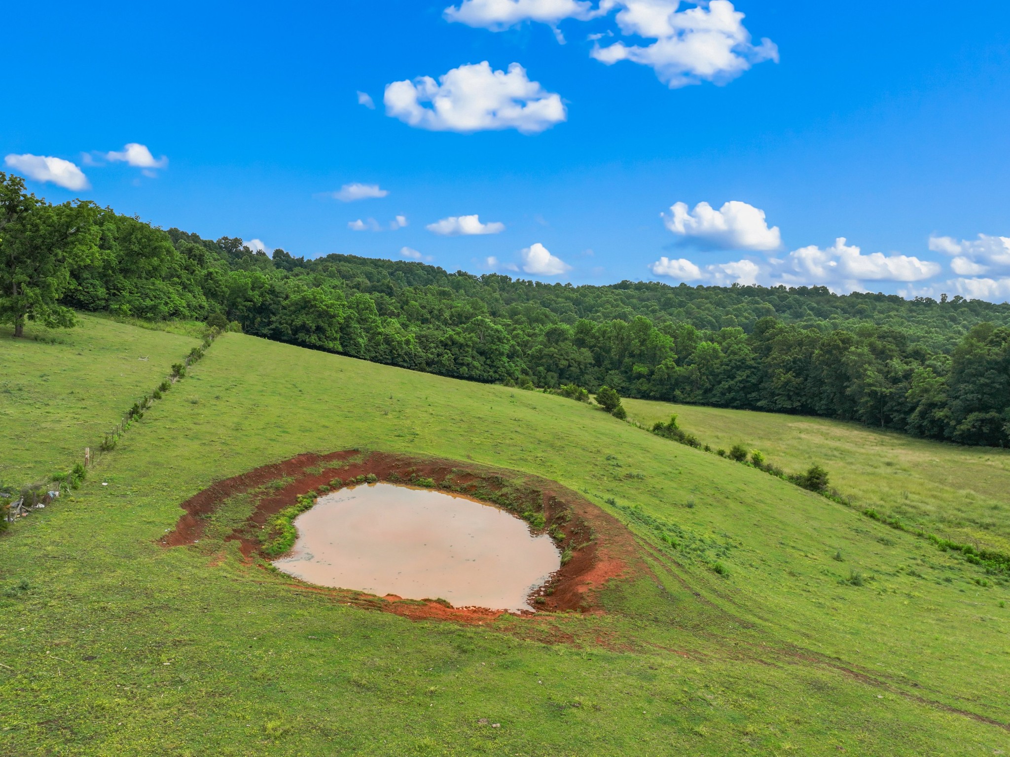 1839 Promiseland Road Blaine, TN 37709 - Photo 40 of 52