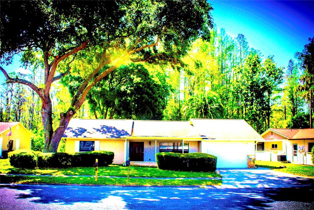 7746 Deer Foot Drive New Port Richey, FL 34653 - Photo 1 of 1 a view of yard and swimming pool with green space