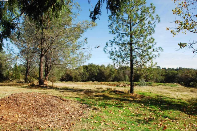 a view of a yard with a tree