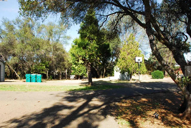 a view of road with large trees