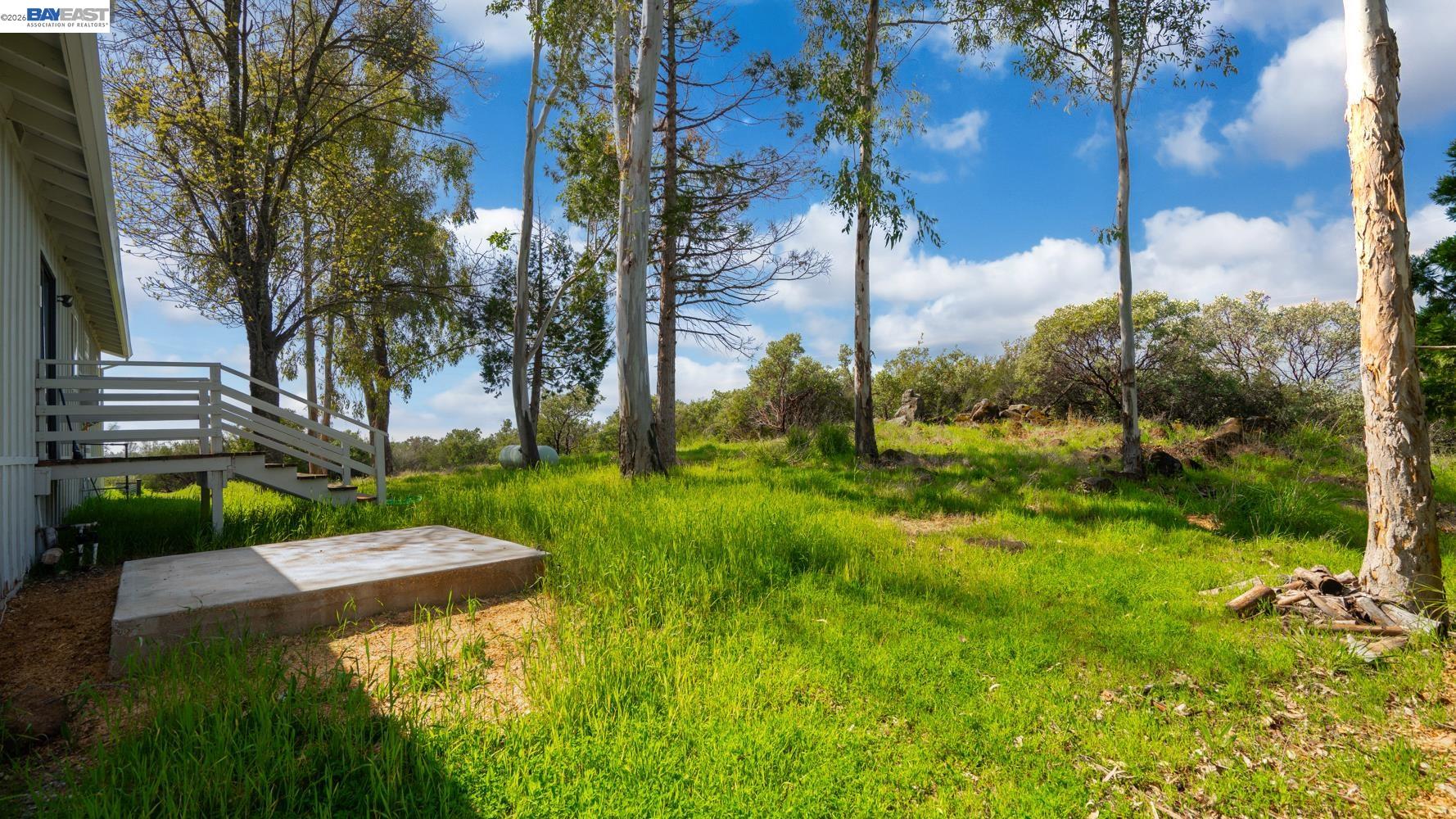 3710 Lakeview Drive Shingle Springs, CA 95682 - Photo 29 of 49 a view of a garden with a house