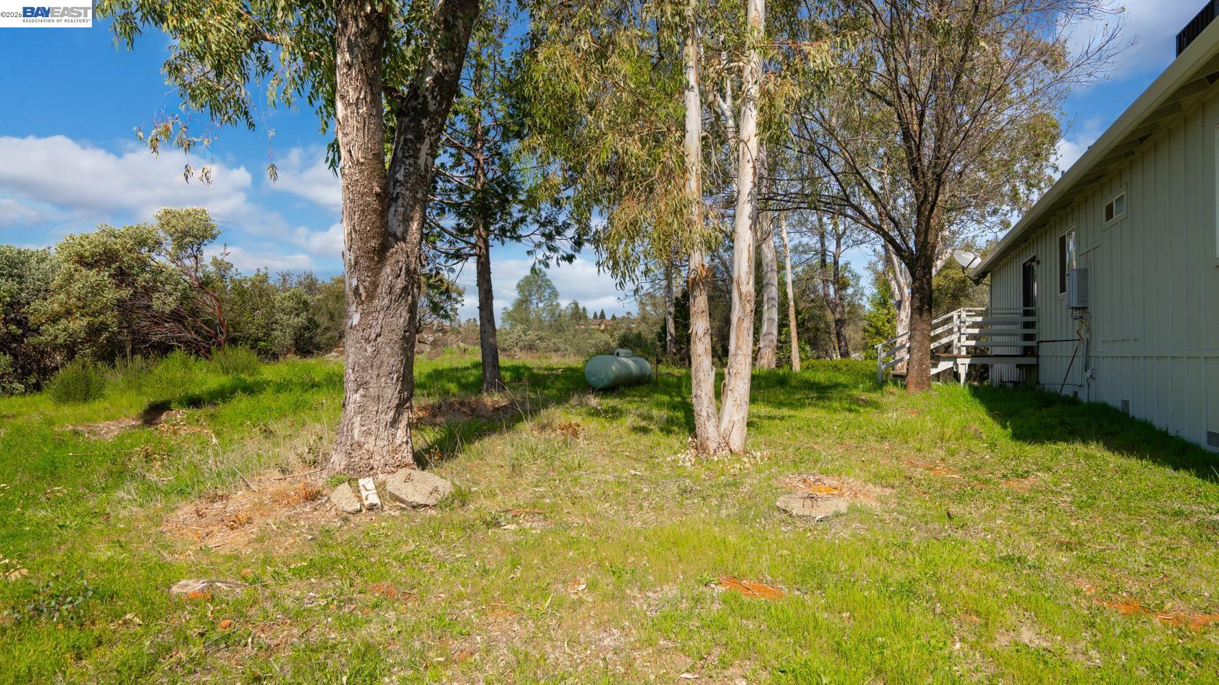 3710 Lakeview Drive Shingle Springs, CA 95682 - Photo 31 of 49 a view of backyard with tree