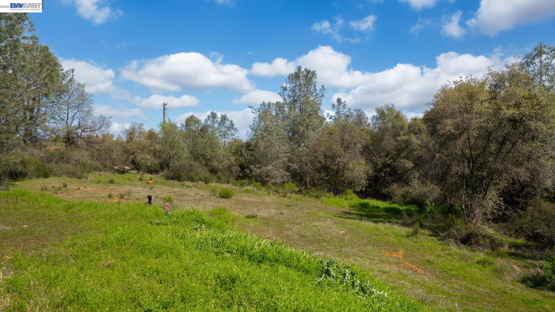 3710 Lakeview Drive Shingle Springs, CA 95682 - Photo 33 of 49 a view of a big yard with lots of green space