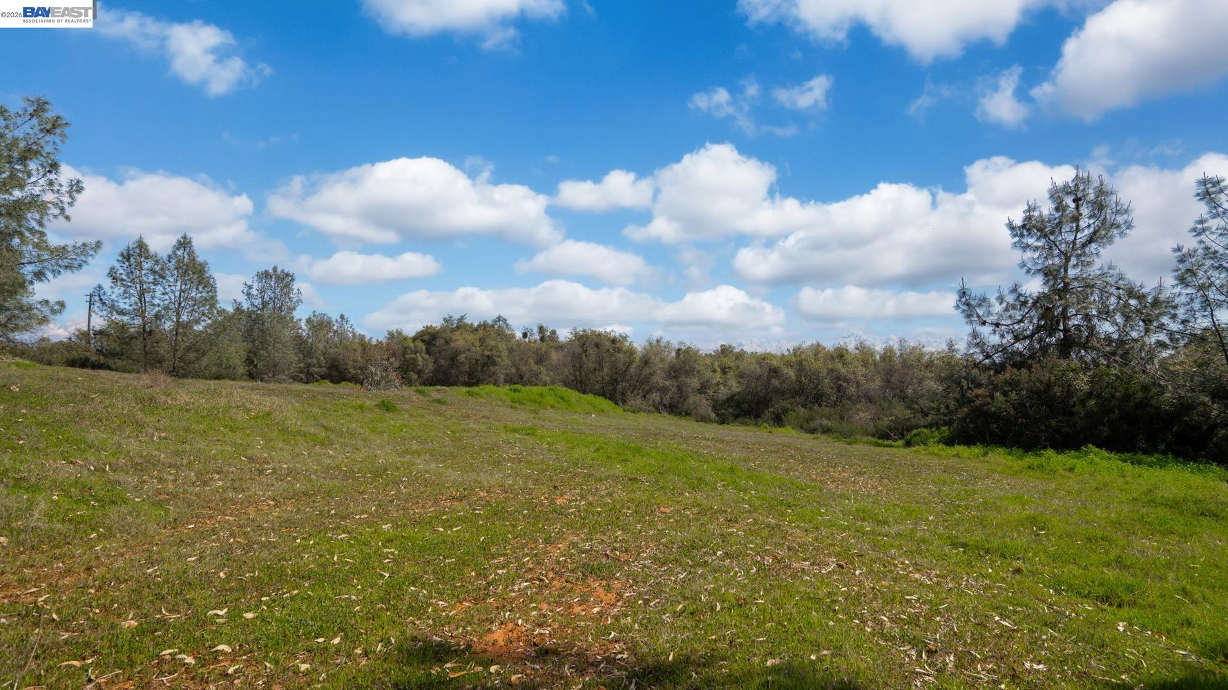 3710 Lakeview Drive Shingle Springs, CA 95682 - Photo 35 of 49 a view of an outdoor space and yard