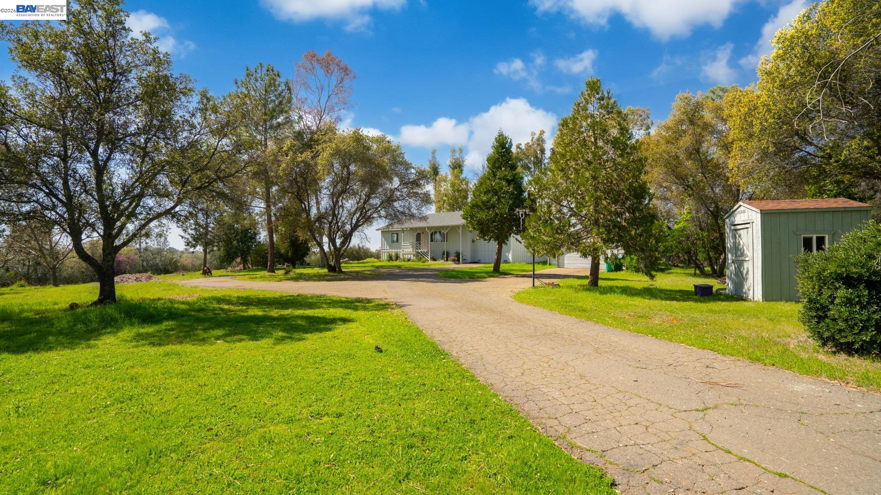 3710 Lakeview Drive Shingle Springs, CA 95682 - Photo 36 of 49 a view of garden with trees