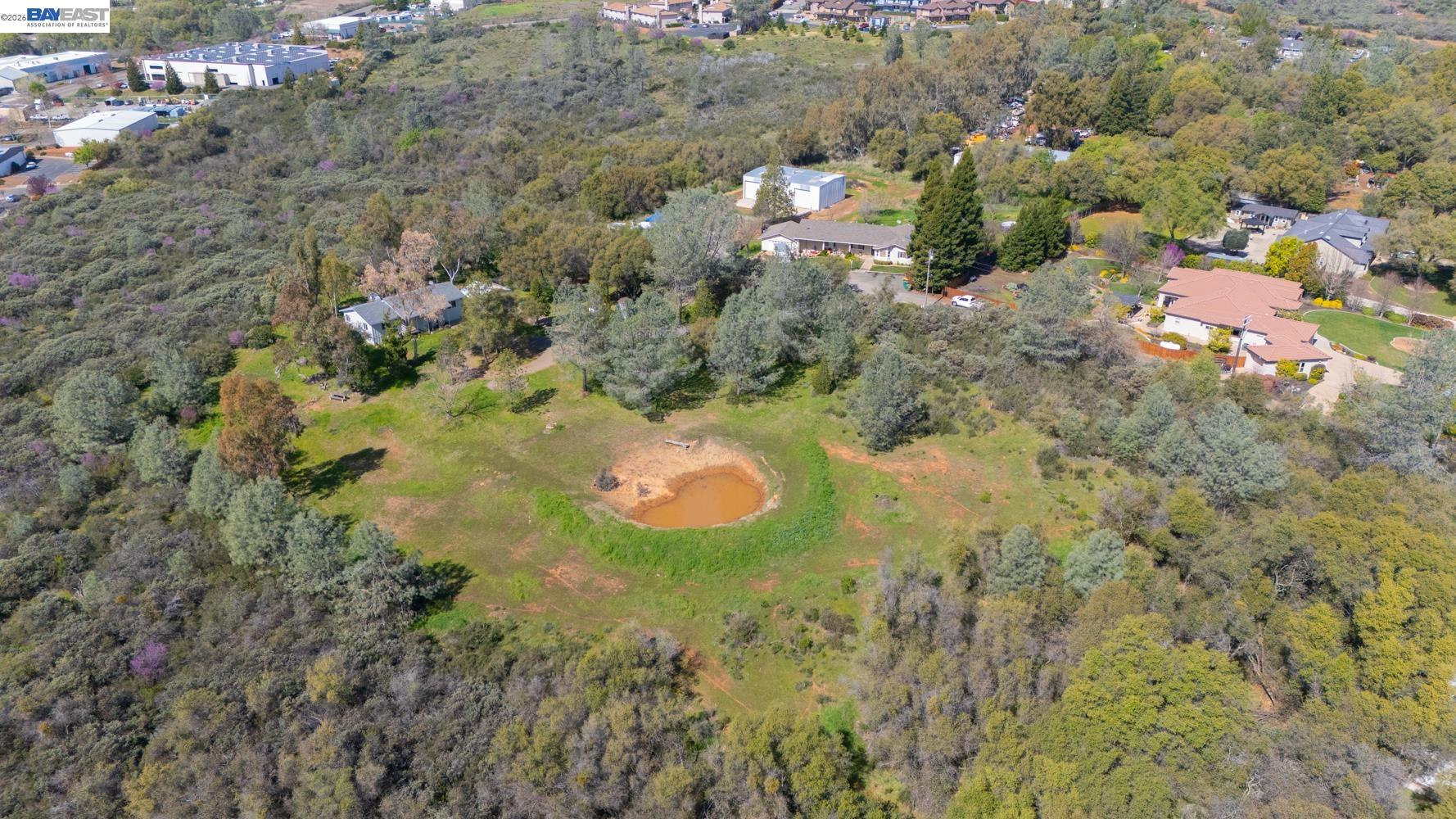 3710 Lakeview Drive Shingle Springs, CA 95682 - Photo 38 of 49 a view of a yard of a house