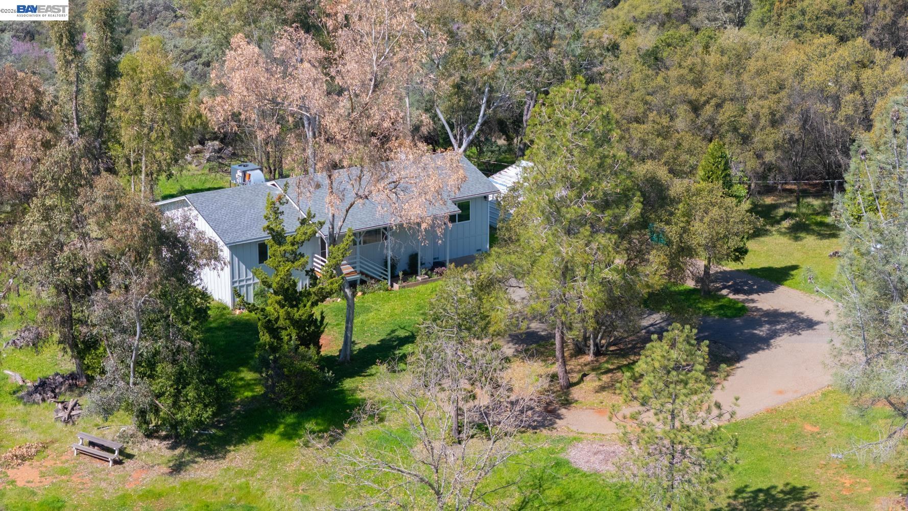 3710 Lakeview Drive Shingle Springs, CA 95682 - Photo 44 of 49 a view of a garden with plants and large trees