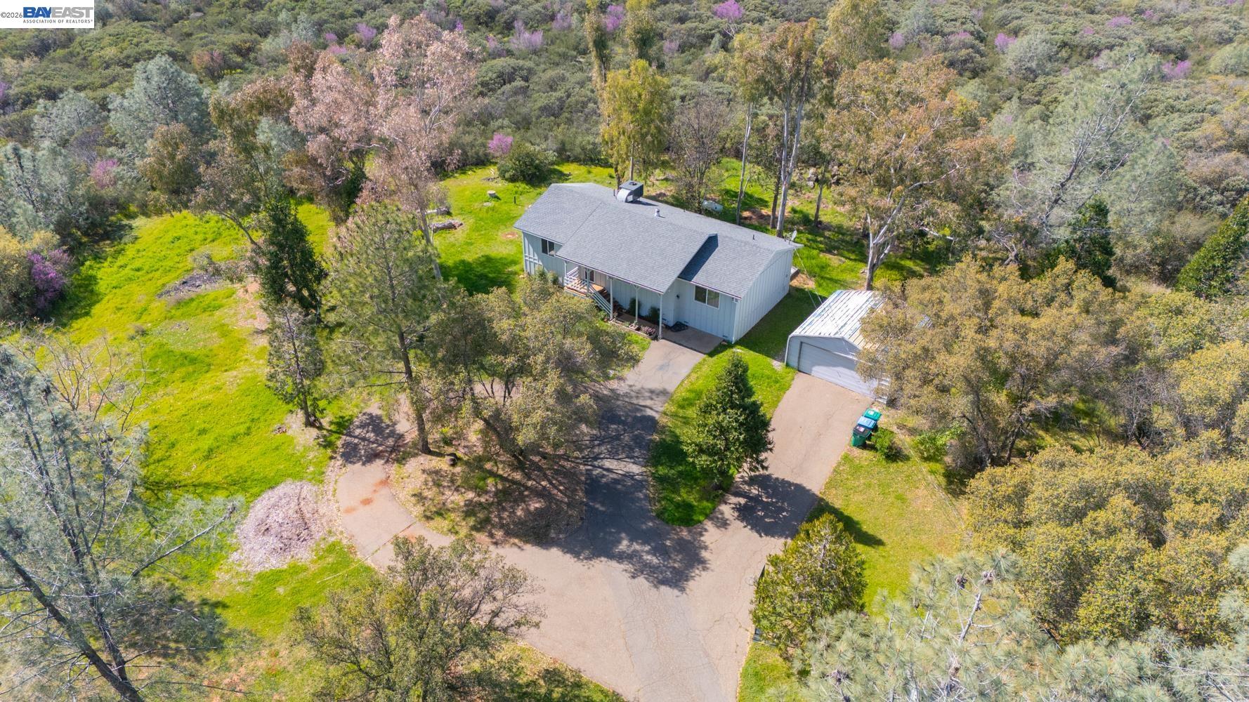 3710 Lakeview Drive Shingle Springs, CA 95682 - Photo 46 of 49 an aerial view of house with yard and large trees