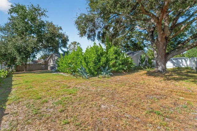a view of a yard with plants and large trees