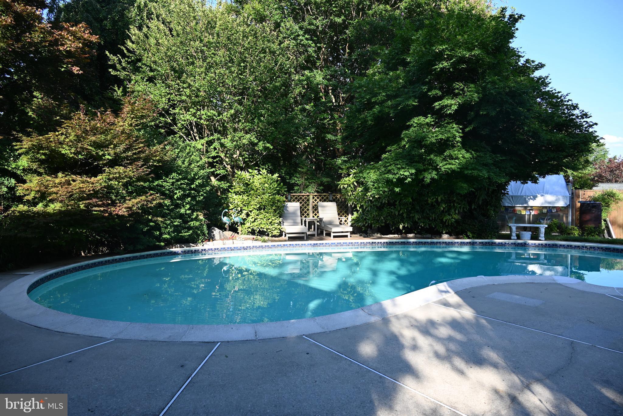 406 Belton Road Silver Spring, MD 20901 - Photo 2 of 36 Backyard oasis - Everyday feels like a vacation.