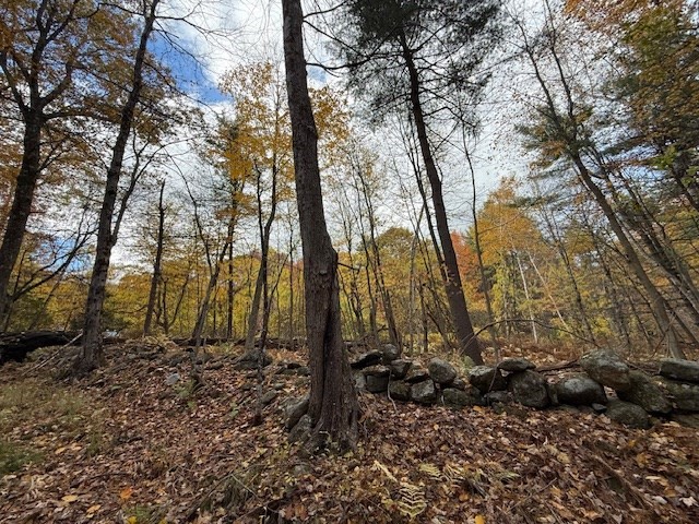 151 Wilker Road Ashburnham, MA 01430 - Photo 8 of 9