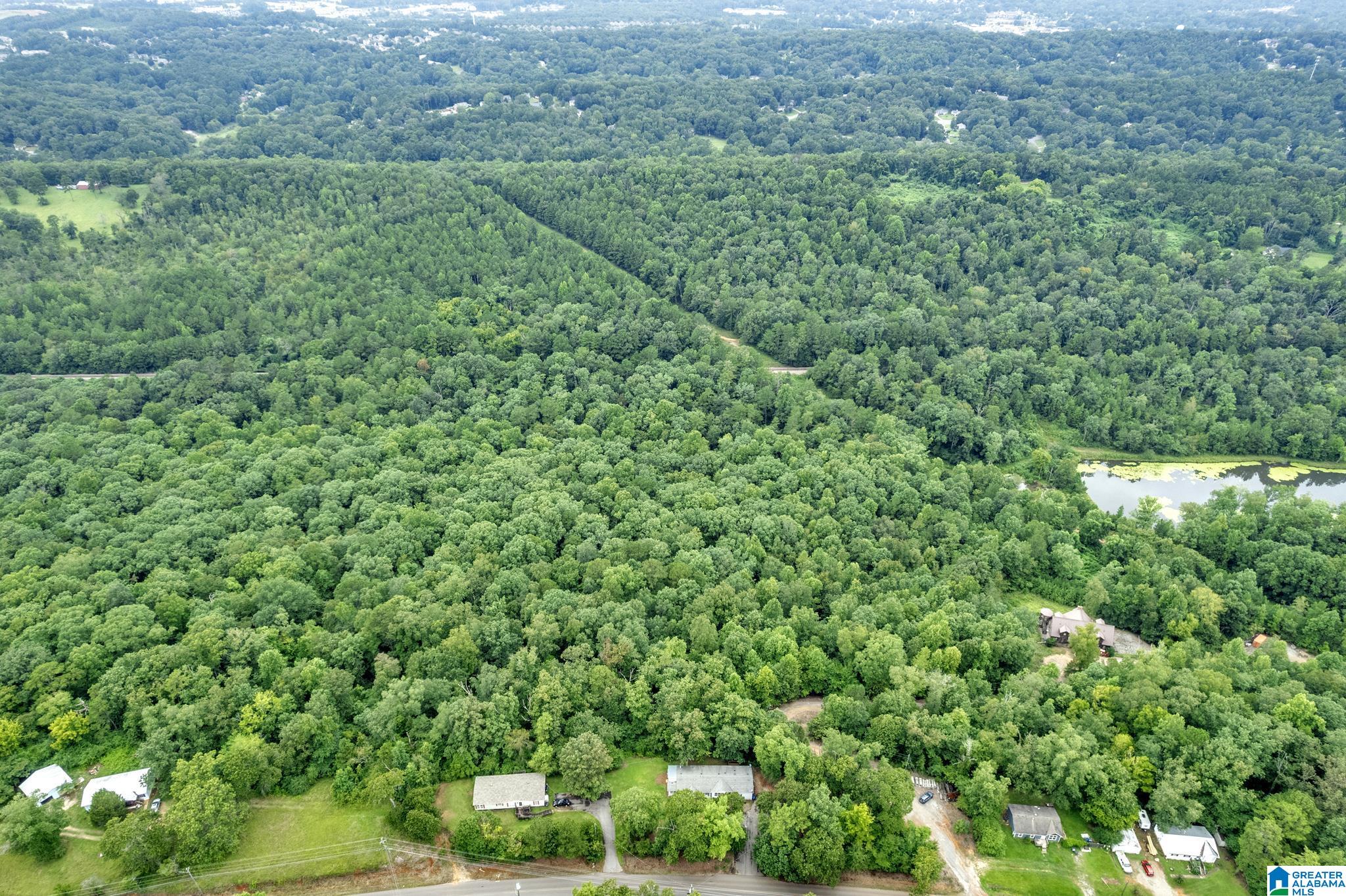 3107 Smith Sims Road, Unit 3107 Trussville, AL 35173 - Photo 6 of 23