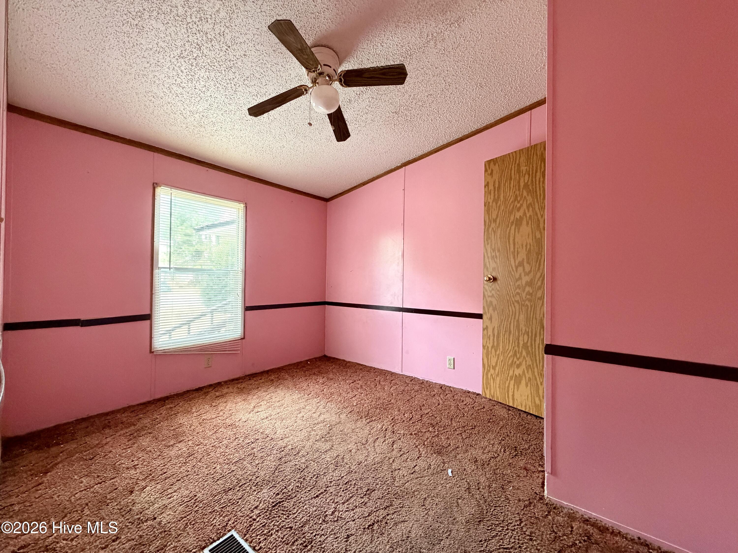 17341 Lauch Blue Road Laurel Hill, NC 28351 - Photo 17 of 19 IMG_9729