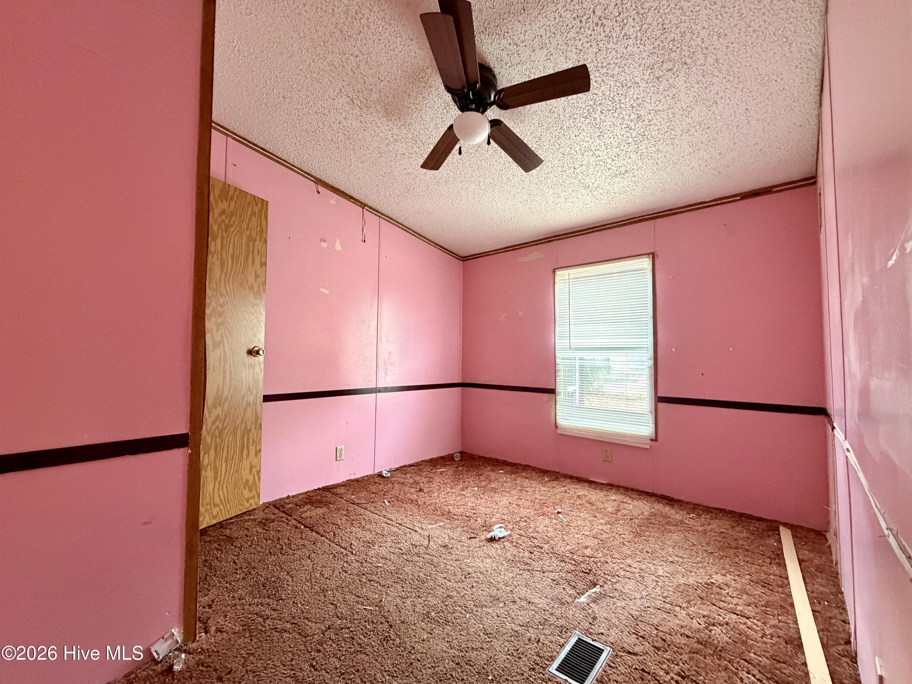 17341 Lauch Blue Road Laurel Hill, NC 28351 - Photo 19 of 19 IMG_9728