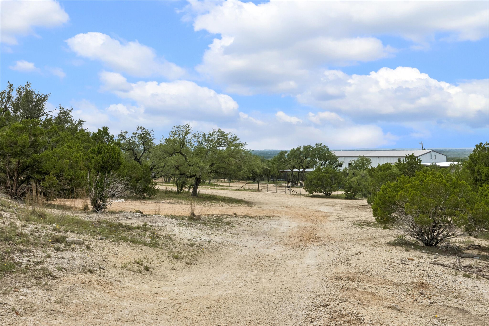 6411 West Fitzhugh Road Dripping Springs, TX 78620 - Photo 30 of 34 Expansive unimproved lot featuring a dirt path, mature trees, and natural vegetation