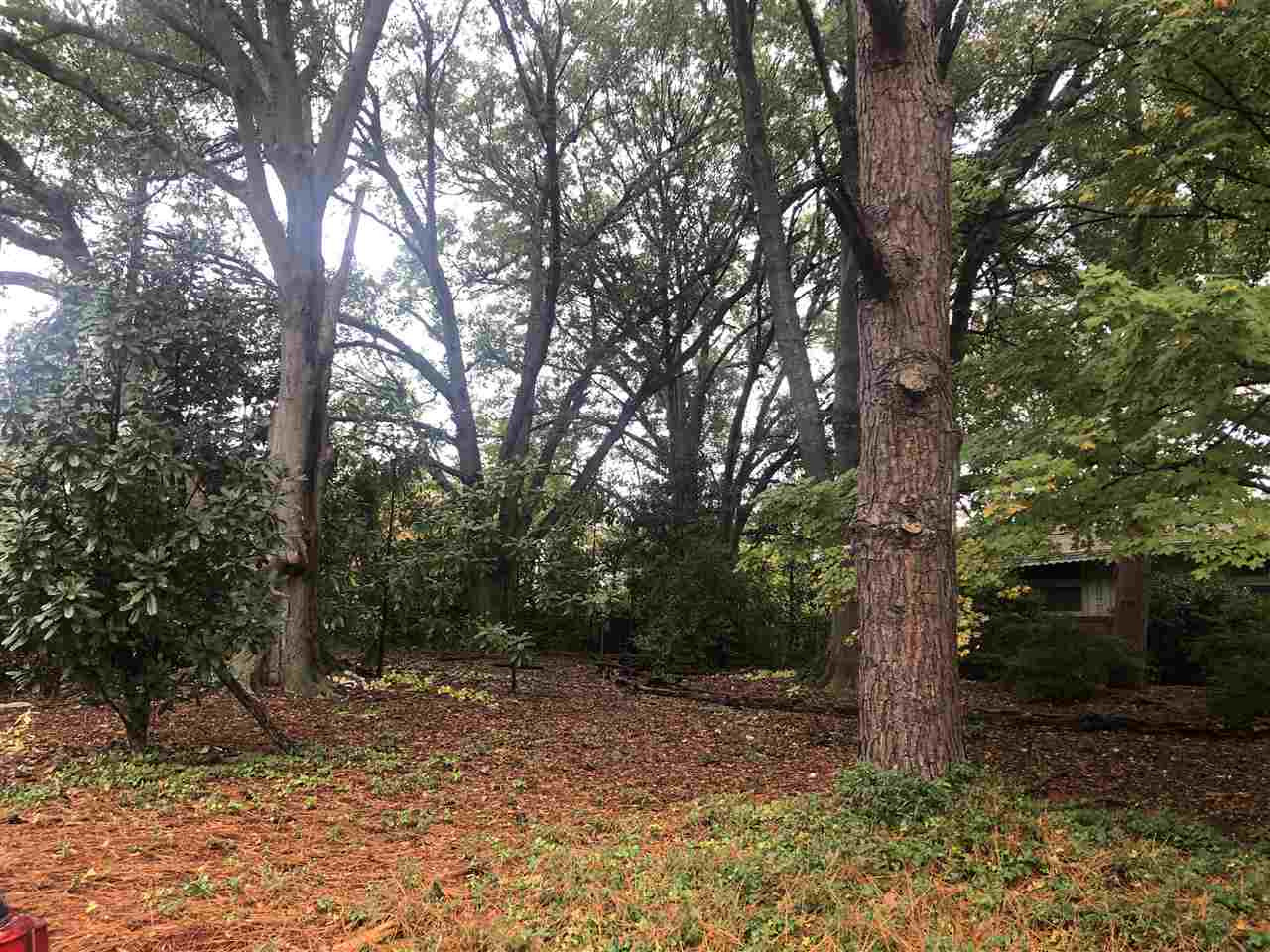 209 Lynwood Lane Raleigh, NC 27609 - Photo 2 of 3 Photo 2
