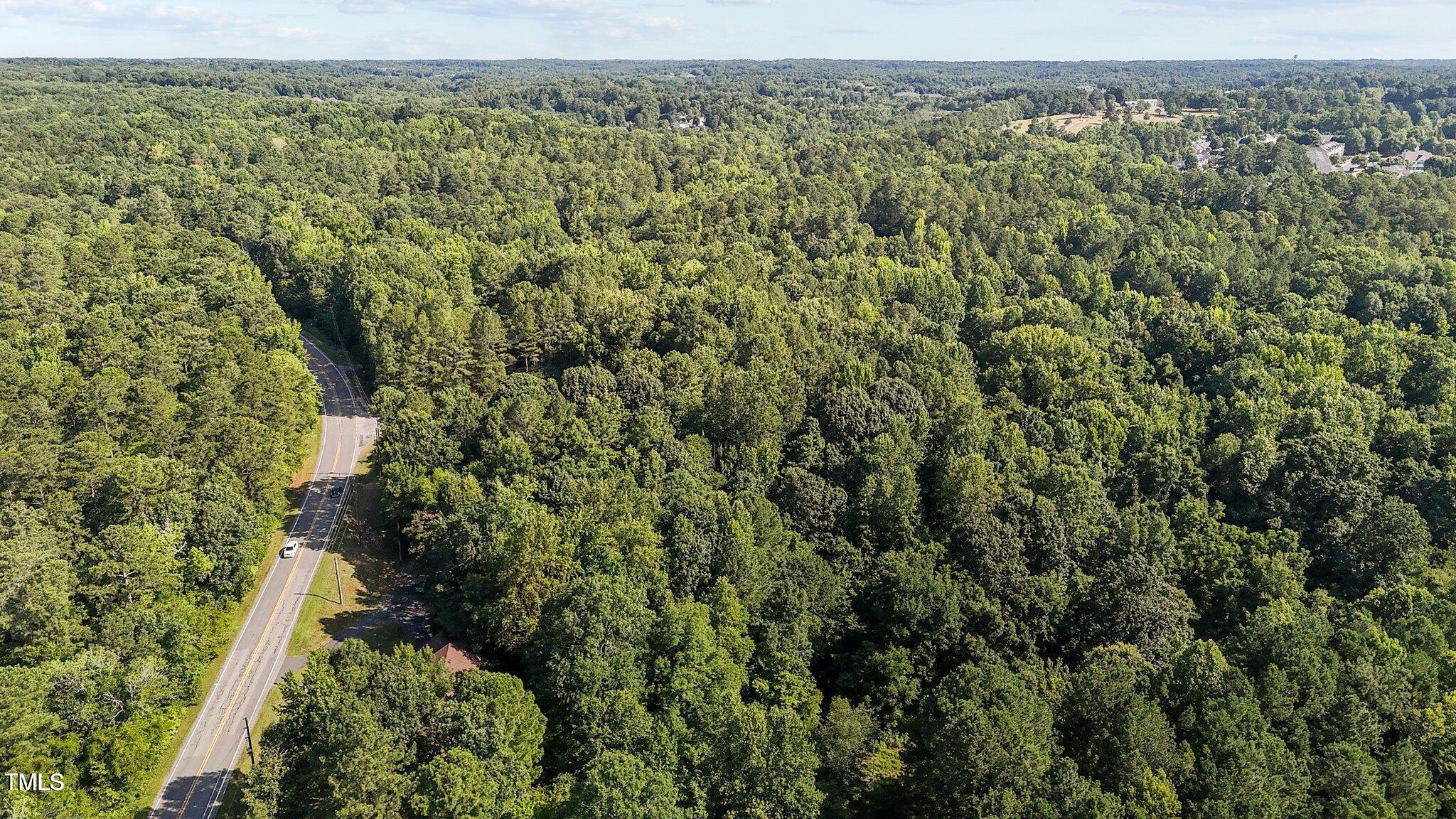 5900 Ebenezer Church Road Raleigh, NC 27612 - Photo 8 of 71 a view of a forest with a street