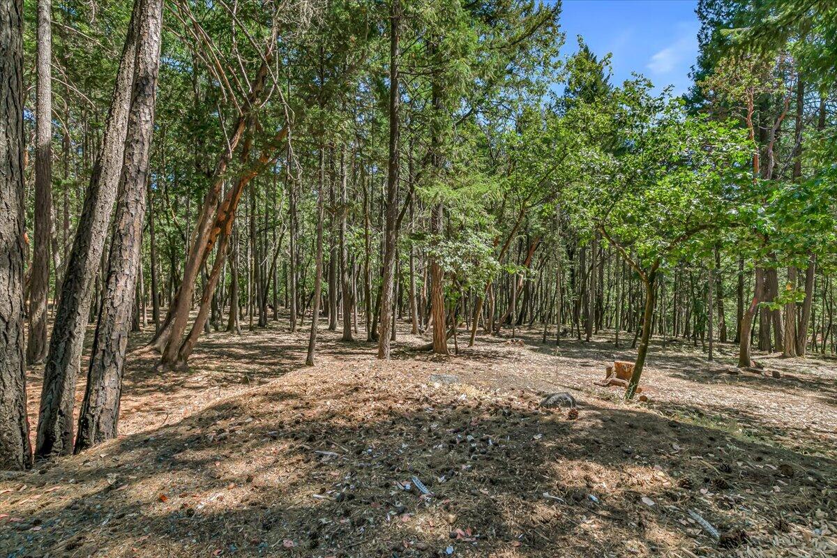 785 Crow Road Merlin, OR 97532 - Photo 32 of 36 39-39