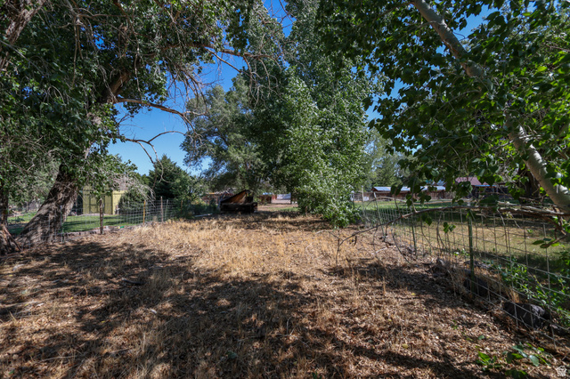 270 East 100 North Monroe, UT 84754 - Photo 61 of 65 Expansive outdoor area featuring mature deciduous trees and a wire perimeter fence