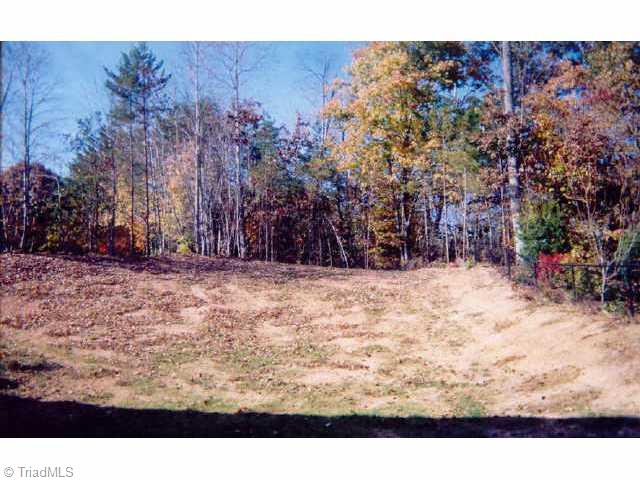 5004 Haystack Hill Road Winston-Salem, NC 27106 - Photo 2 of 8 Other. Backyard