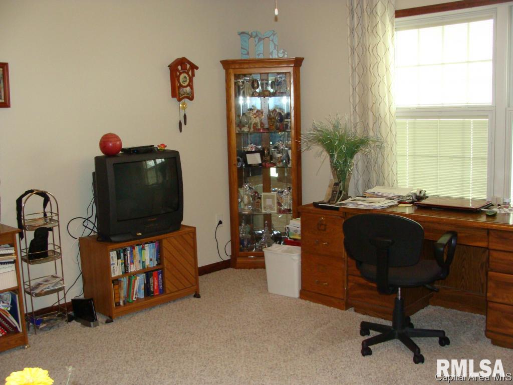 343 Butler Lane Chatham, IL 62629 - Photo 11 of 14 Gallery Image 11