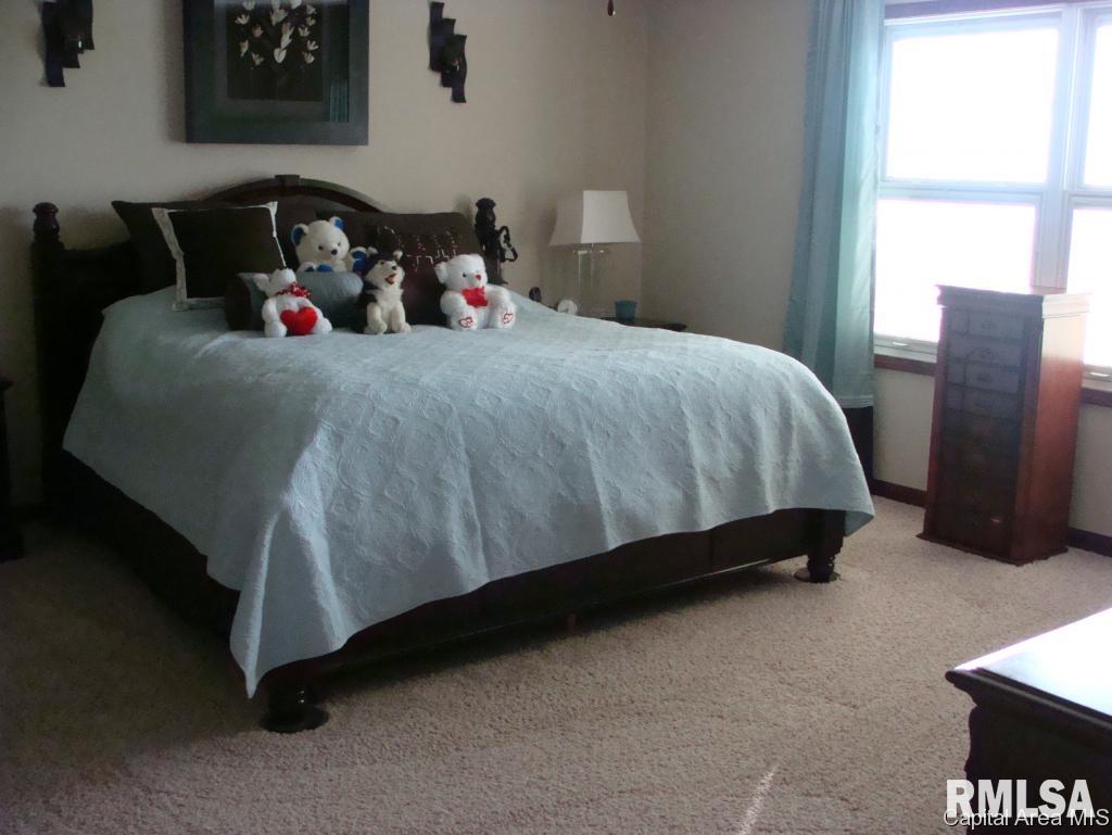 343 Butler Lane Chatham, IL 62629 - Photo 7 of 14 Gallery Image 7