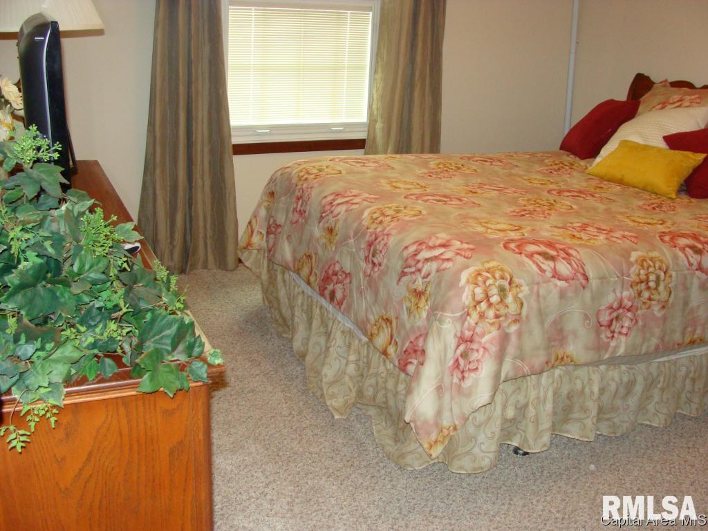 343 Butler Lane Chatham, IL 62629 - Photo 9 of 14 Gallery Image 9