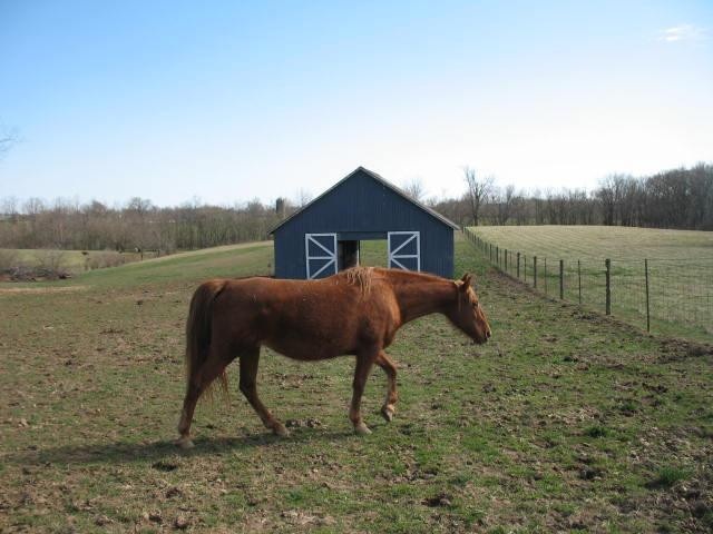 7661 Ecton Road Winchester, KY 40391 - Photo 57 of 74 Photo 57