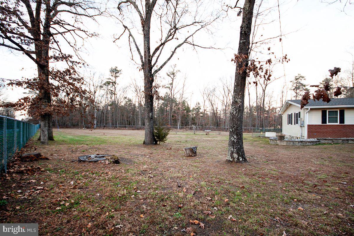 2932 Jackson Road Williamstown, NJ 08094 - Photo 6 of 38 Enormous yard