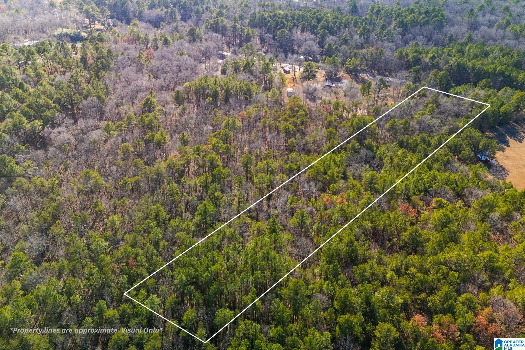 958 Chelsea Road Columbiana, AL 35051 - Photo 12 of 16