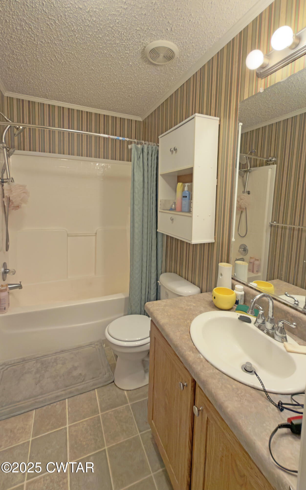 6599 Chestnut Bluff Road Friendship, TN 38034 - Photo 21 of 33 a bathroom with a sink a toilet and shower
