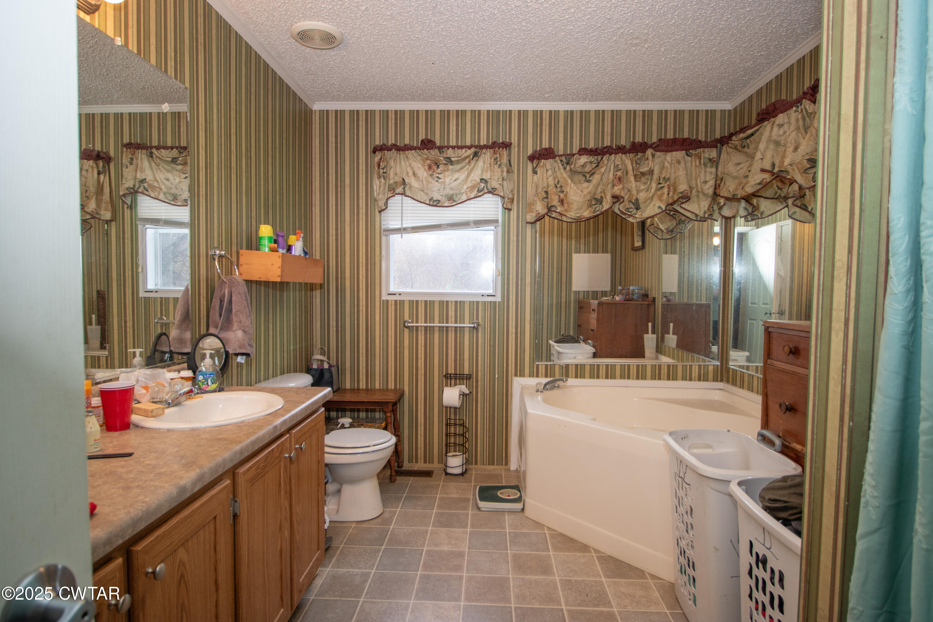 6599 Chestnut Bluff Road Friendship, TN 38034 - Photo 22 of 33 a bathroom with a sink a vanity a mirror a bathtub and shower