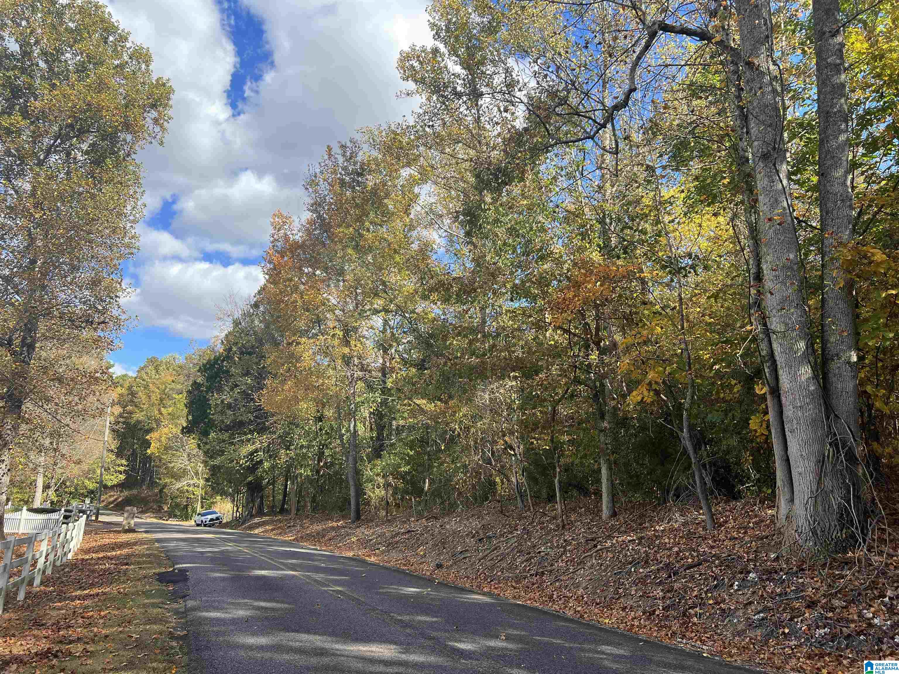 8455 Clayton Road Trussville, AL 35173 - Photo 28 of 65