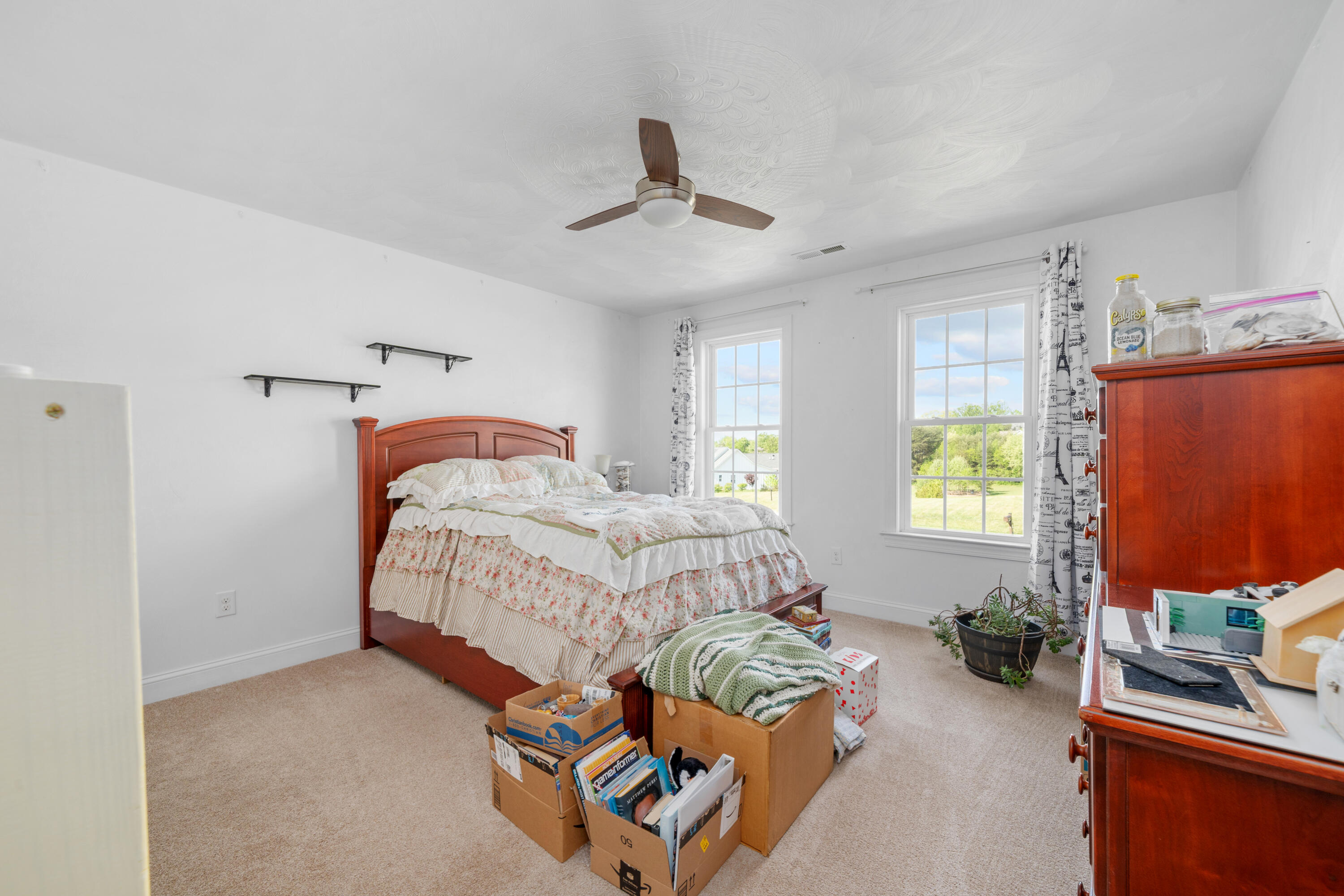 250 Thornblade Way Blue Ridge, VA 24064 - Photo 23 of 31 a bedroom with bed and a window