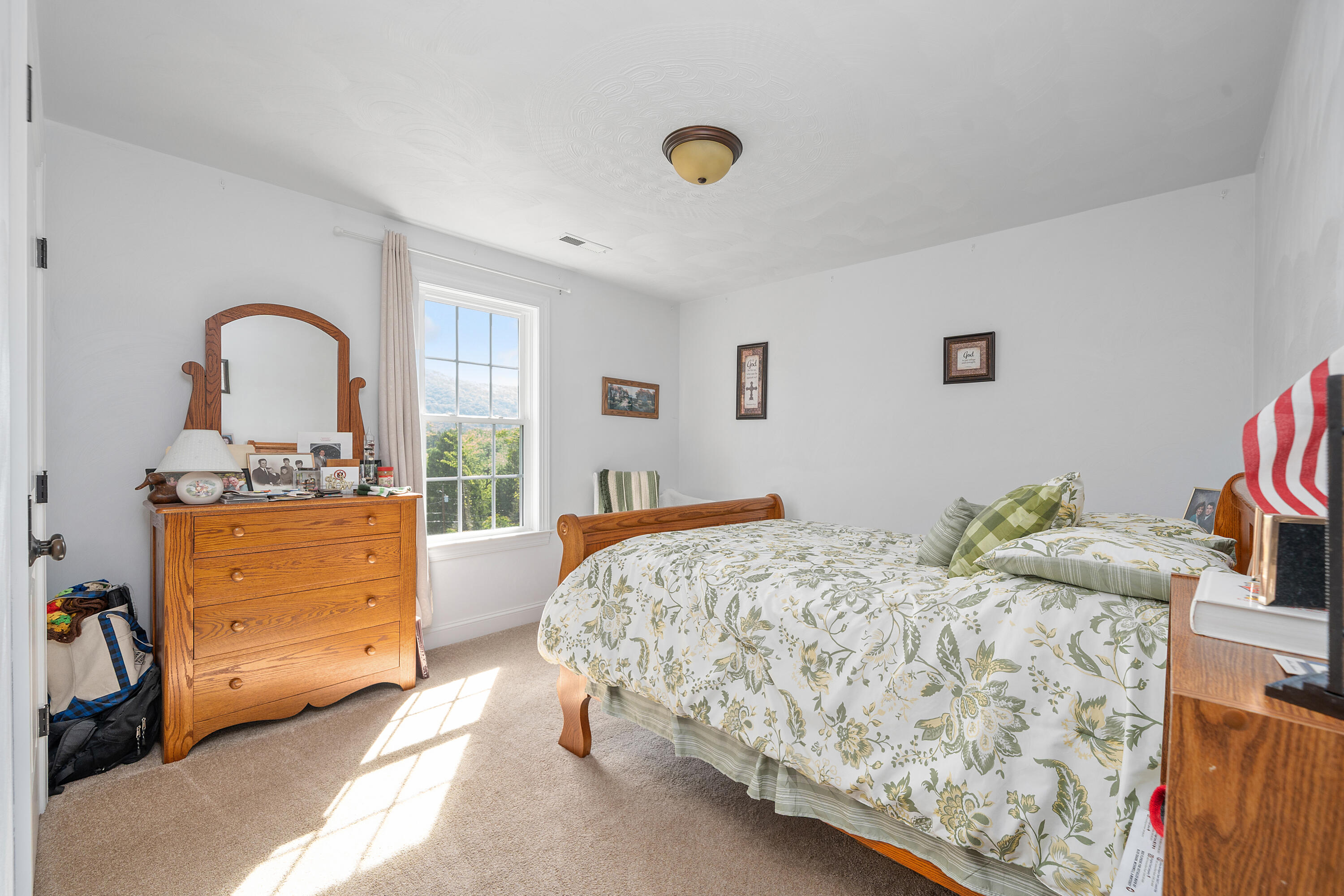 250 Thornblade Way Blue Ridge, VA 24064 - Photo 25 of 31 a bedroom with a bed and a dresser