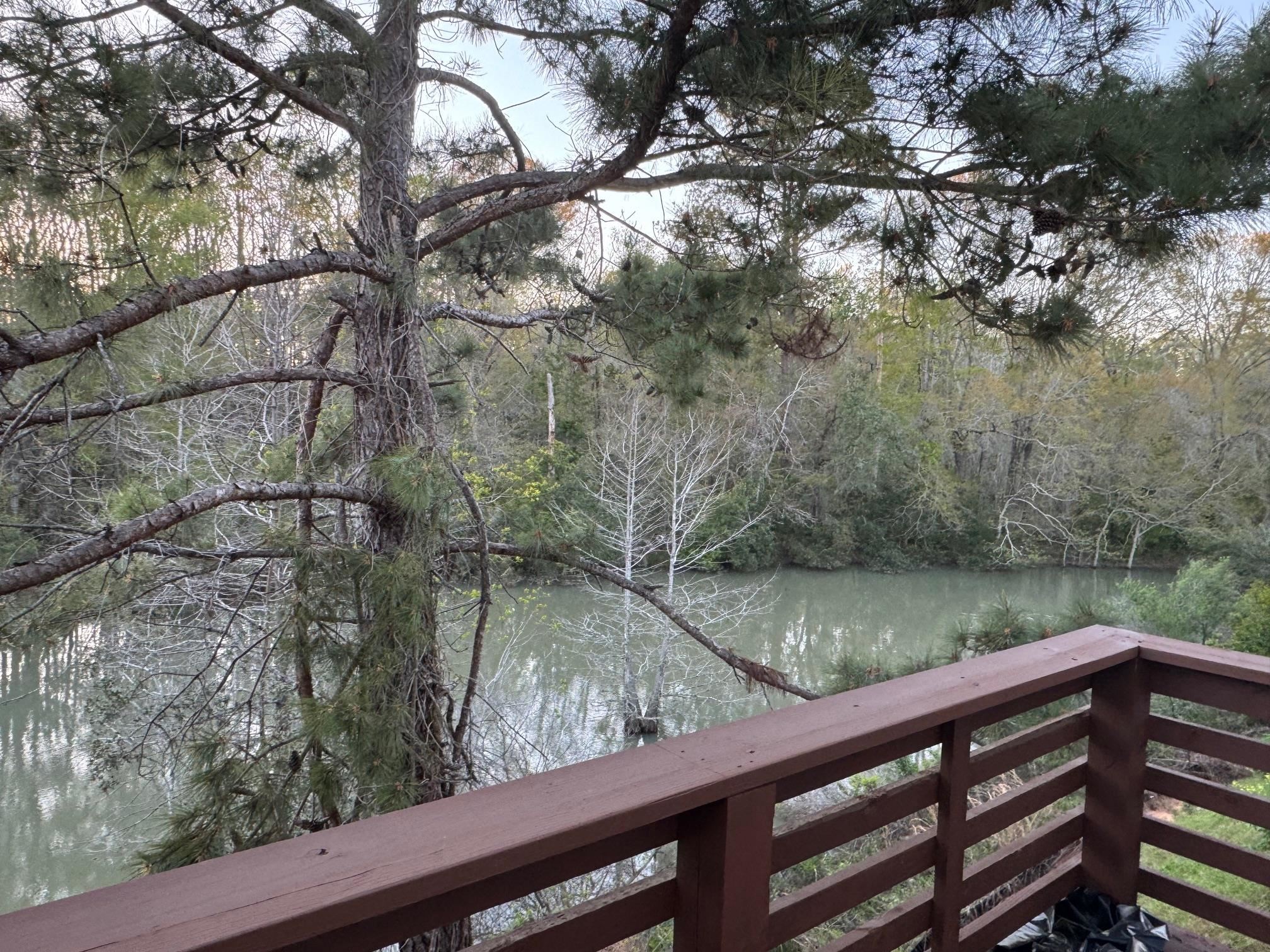 1954 Evanston Avenue, Unit 604 Tallahassee, FL 32304 - Photo 10 of 10