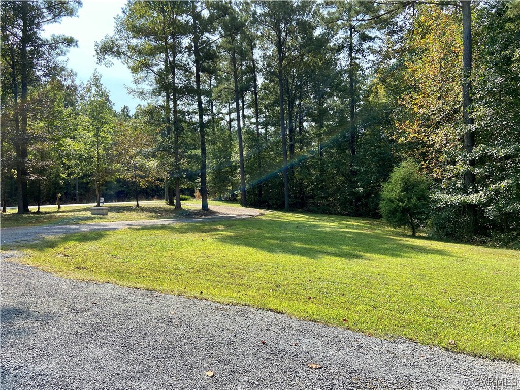 9470 Robin Road Disputanta, VA 23842 - Photo 18 of 20 Side Yard and Driveway