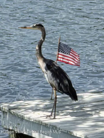 $825,000 | 41 Island Drive, Copake, NY 12516