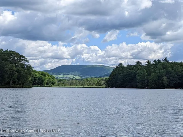 a view of a lake in a forest